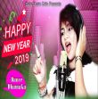Happy new year (Ruchismita Guru)